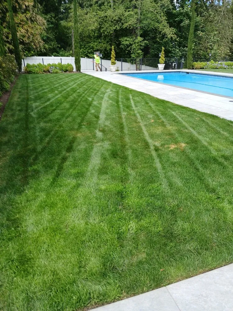 Top-rated landscape installation with custom design in Bellevue, WA by Nwhera Landscaping