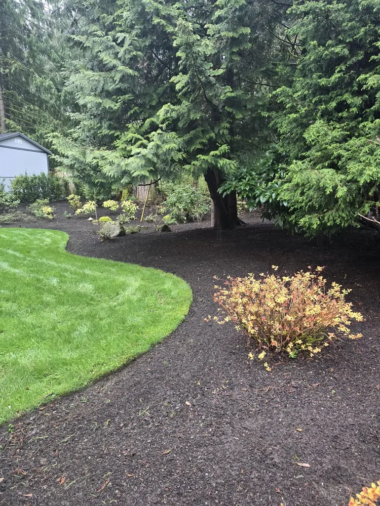 Local landscape installation in Bellevue, WA - Nwhera Landscaping