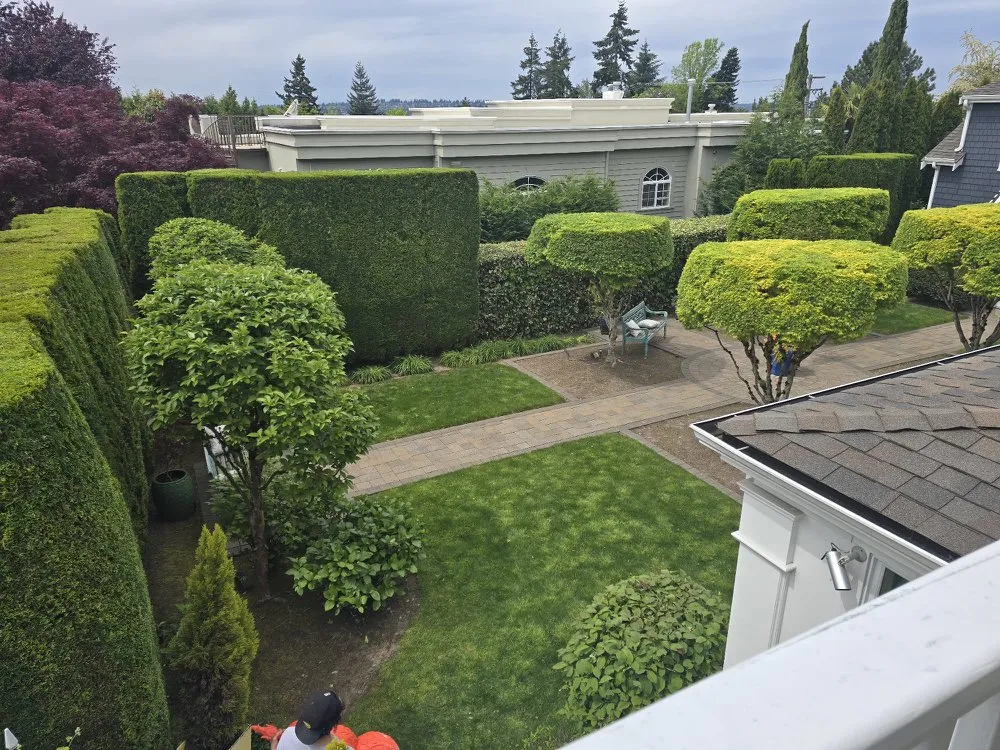 Local garden landscaping for homes in Bellevue, WA by Nwhera Landscaping