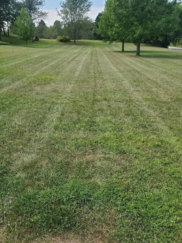 Expert landscaping services in Valparaiso, IN - Nwi Quality Cuts
