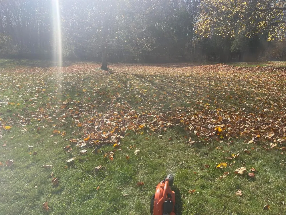 Local lawn mowing service for beautiful yards across Valparaiso, IN - Nwi Quality Cuts