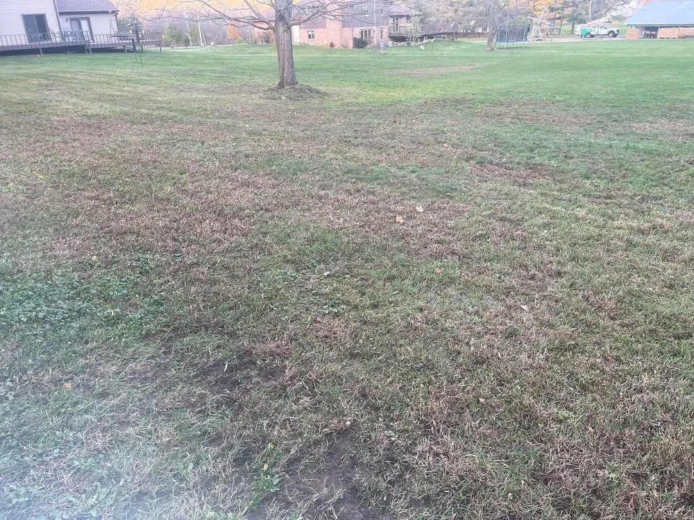 Affordable yard maintenance for residential properties across Valparaiso, IN - Nwi Quality Cuts