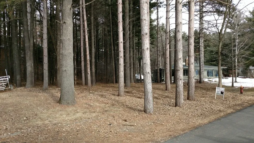 Expert residential landscaping in New Richmond, WI - NWI Tree Service & Landscaping