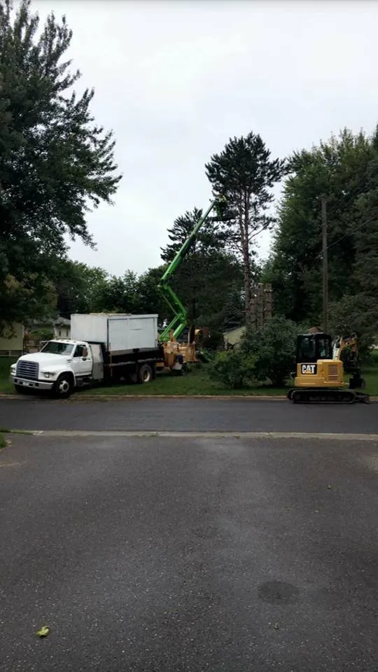Custom landscaping services for year-round maintenance in New Richmond, WI by NWI Tree Service & Landscaping