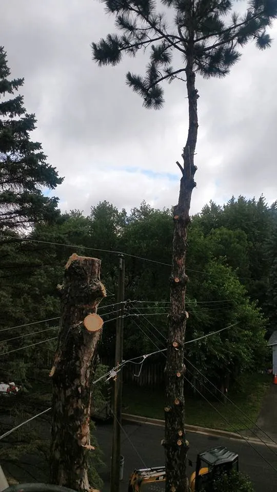 Top-rated residential landscaping experts serving New Richmond, WI - NWI Tree Service & Landscaping