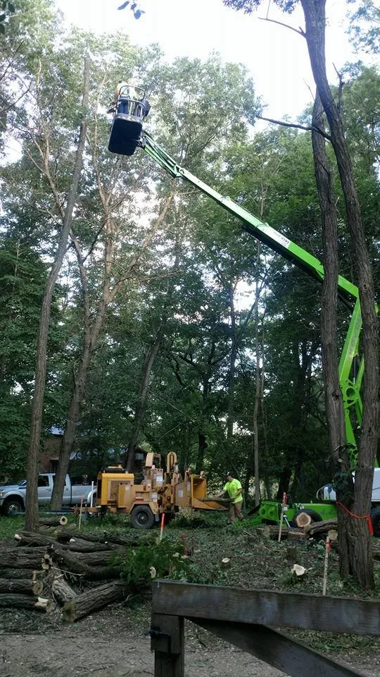 Top-rated garden landscaping for homes in New Richmond, WI by NWI Tree Service & Landscaping