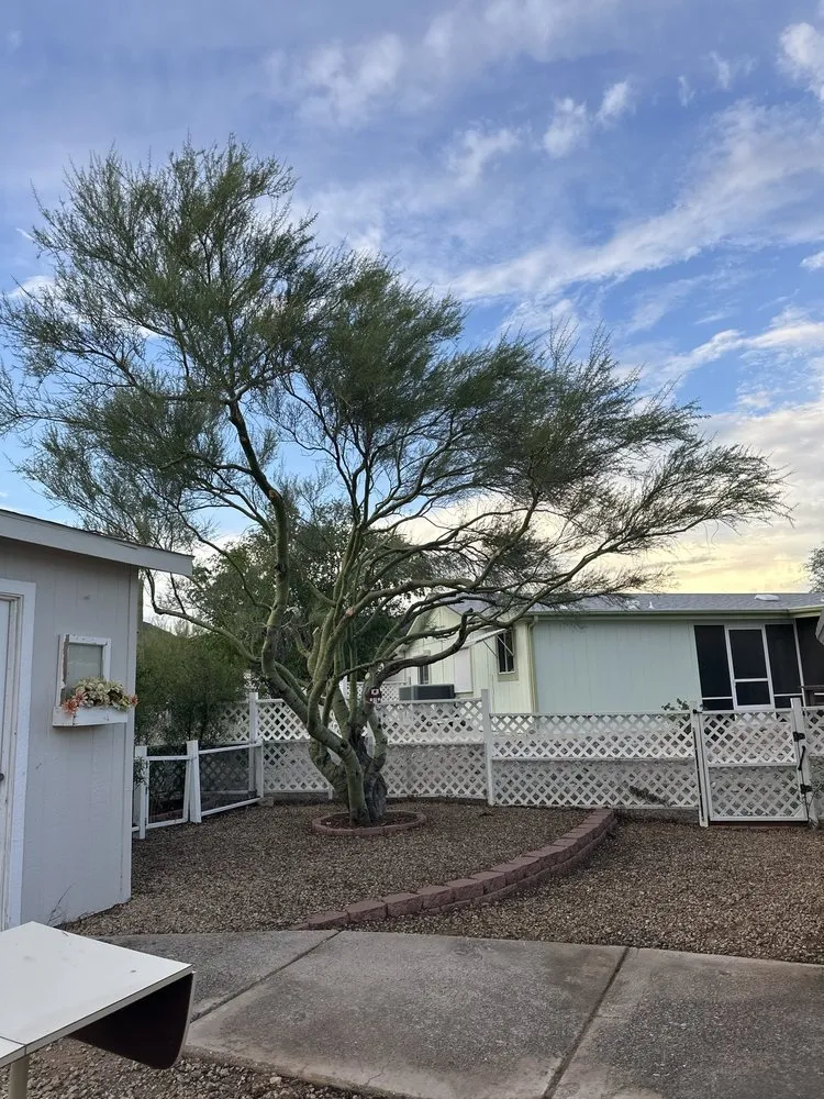 Expert landscape design experts serving Tucson, AZ - NWT Landscape & Hardscape