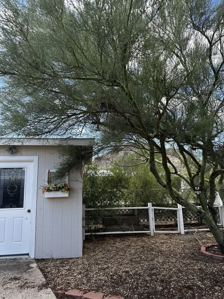 Reliable landscaping services for beautiful yards across Tucson, AZ - NWT Landscape & Hardscape