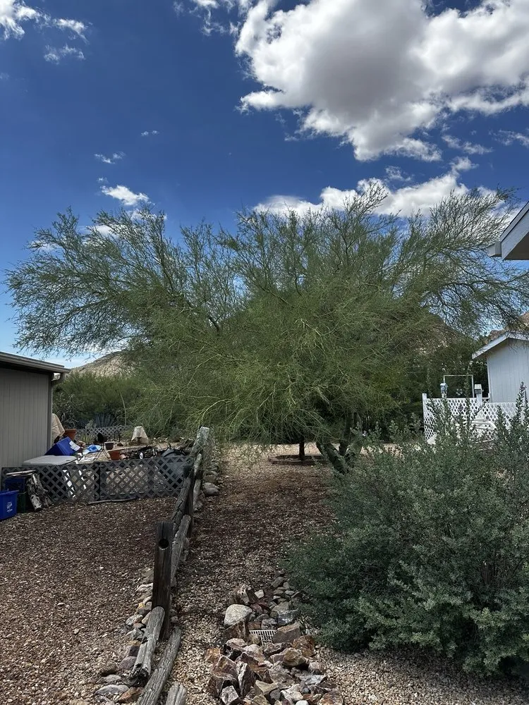 Trusted landscape design for residential properties in Tucson, AZ by NWT Landscape & Hardscape