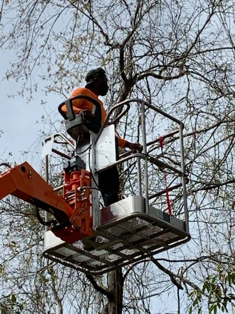 Expert landscape design in Pensacola, FL by NWT Lawn service