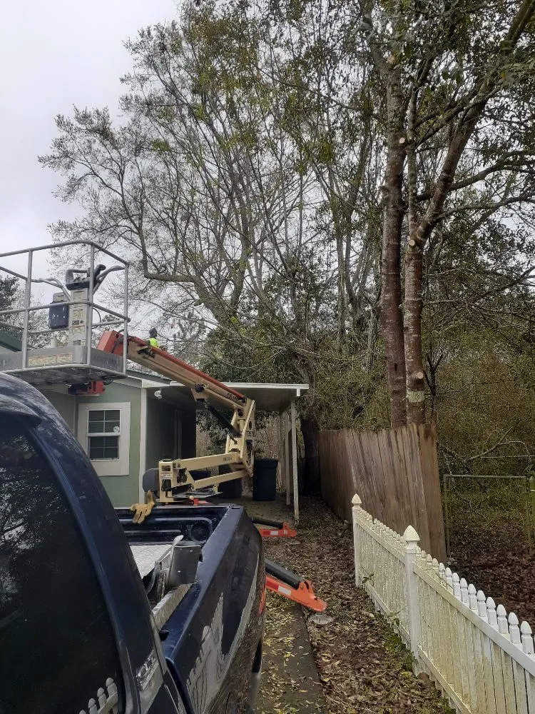 Professional landscape installation experts serving Pensacola, FL - NWT Lawn service