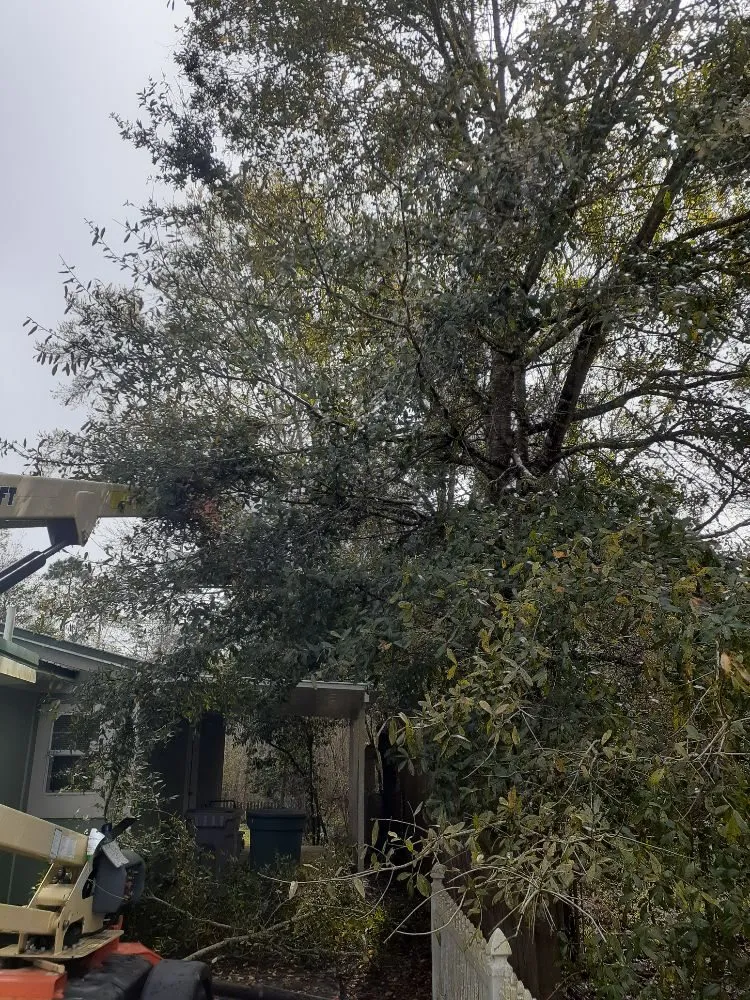 Custom lawn care service in Pensacola, FL by NWT Lawn service