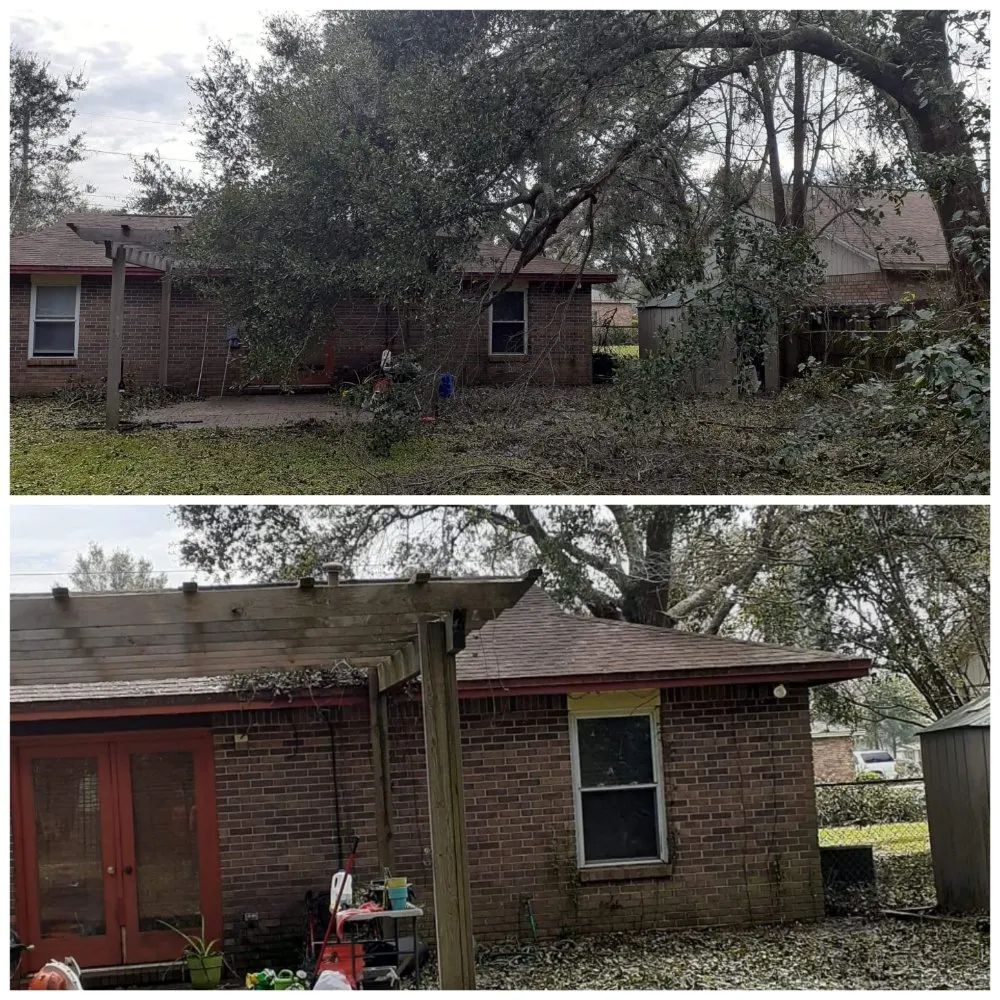 Top-rated yard cleanup service for beautiful yards across Pensacola, FL - NWT Lawn service