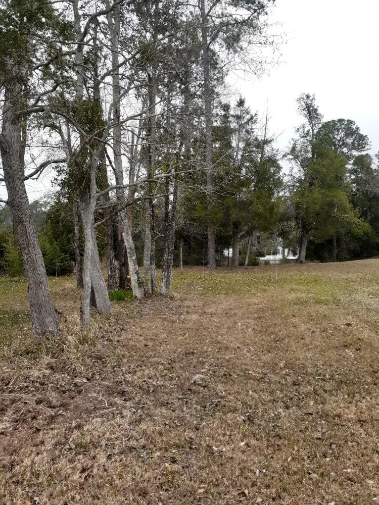 Custom lawn mowing service experts serving Pensacola, FL - NWT Lawn service