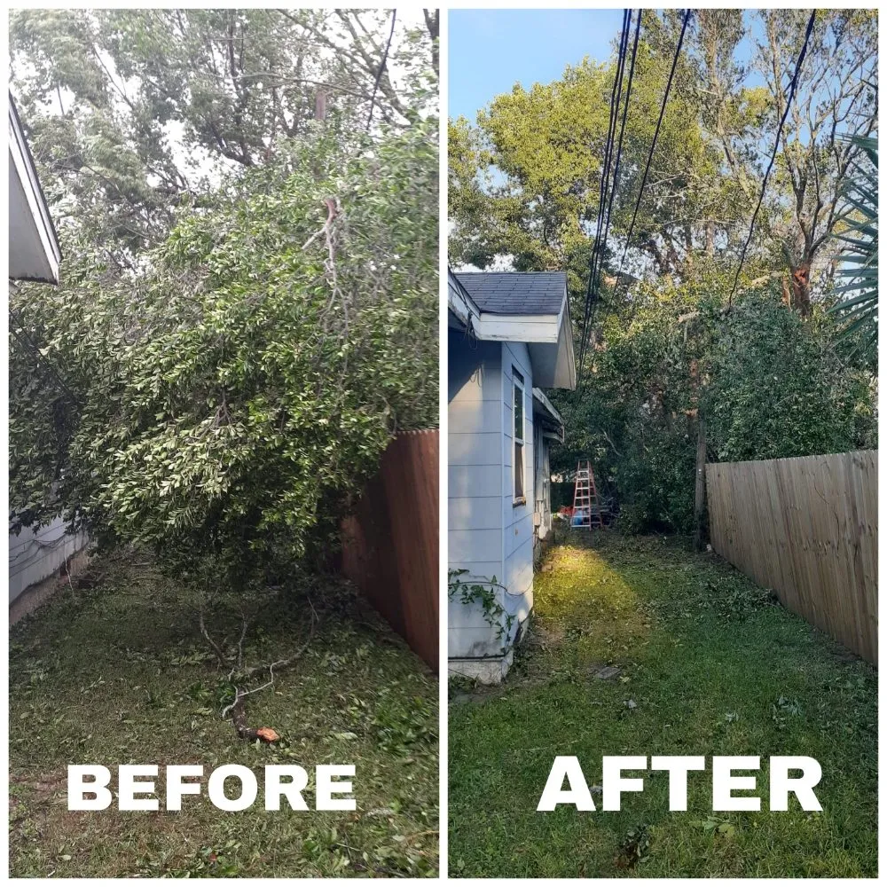 Professional lawn care service in Pensacola, FL - NWT Lawn service