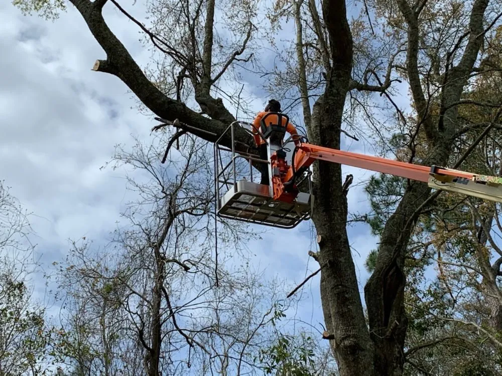 Expert residential landscaping for residential properties in Pensacola, FL by NWT Lawn service