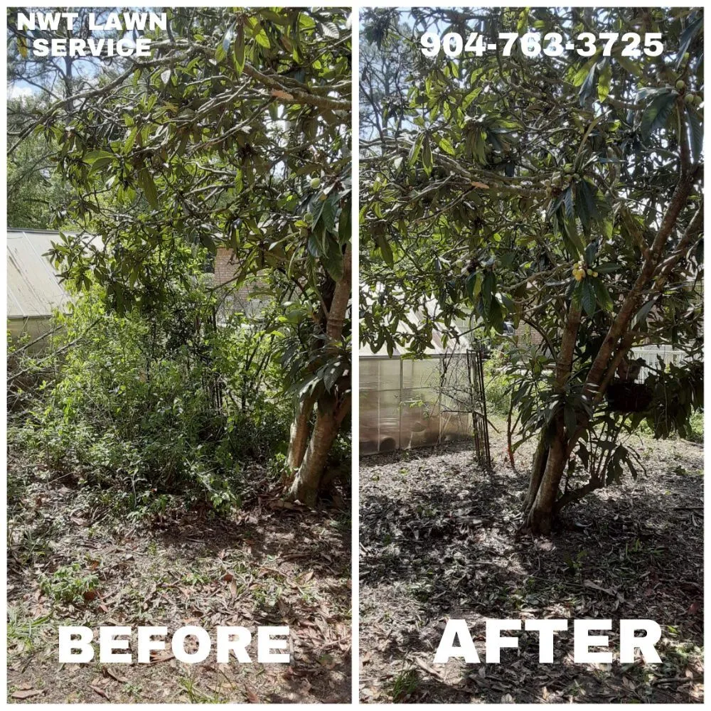 Custom residential landscaping for homes across Pensacola, FL - NWT Lawn service