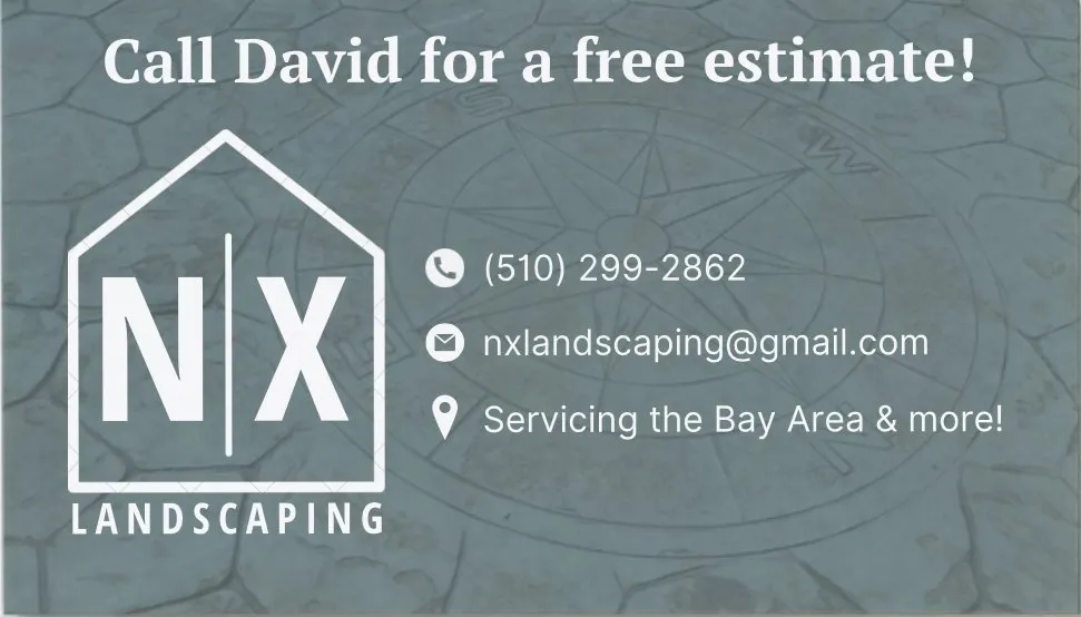 Affordable yard cleanup service in Hayward, CA - NX Landscaping