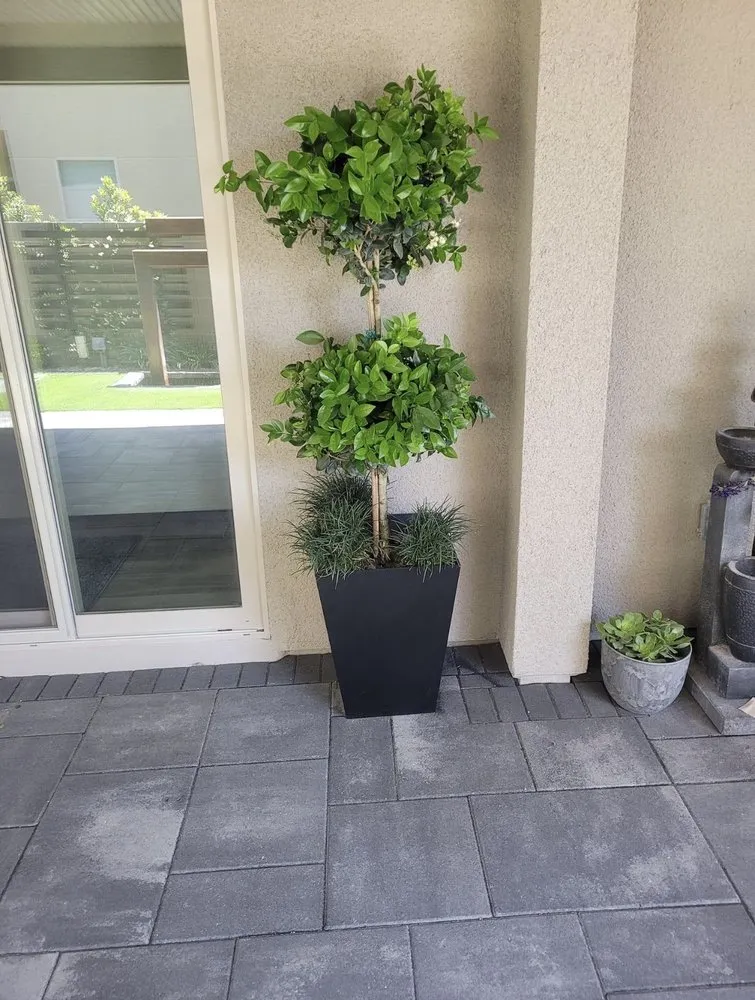 Professional outdoor landscaping in Henderson, NV by Nx Level Landscaping