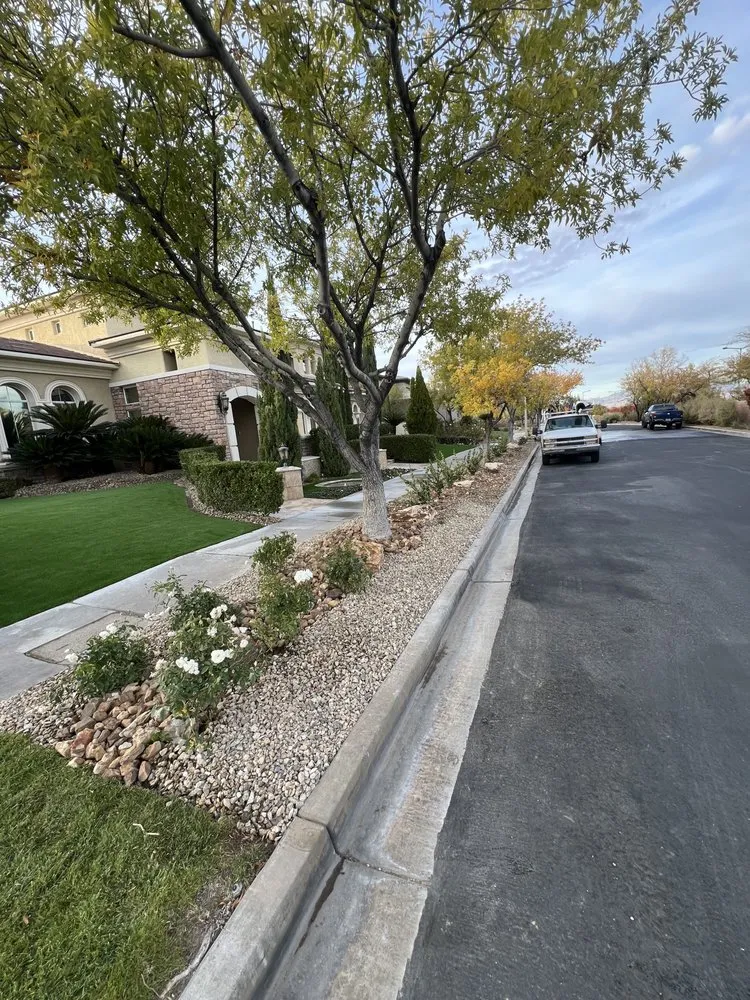 Top-rated yard maintenance experts serving Henderson, NV - Nx Level Landscaping