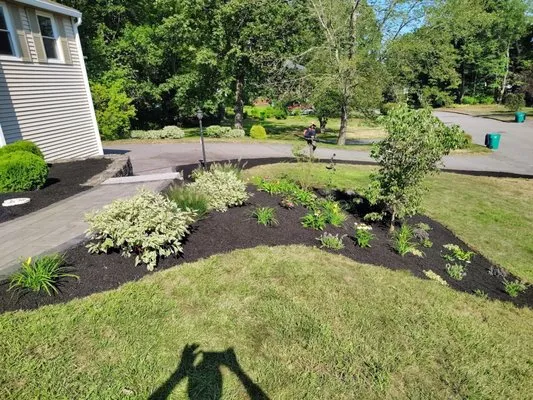 NXT Landscaping