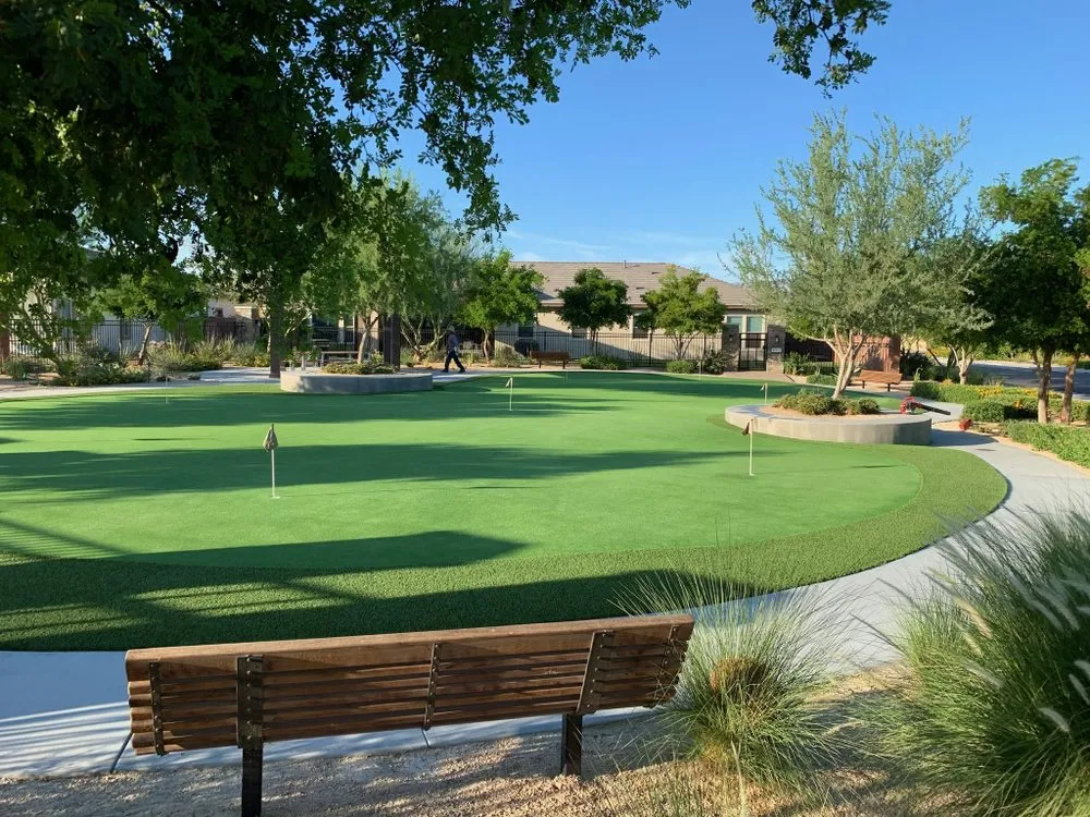 Local yard cleanup service near you in Indio, CA by NXT Level Landscape