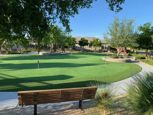 NXT Level Landscape Logo