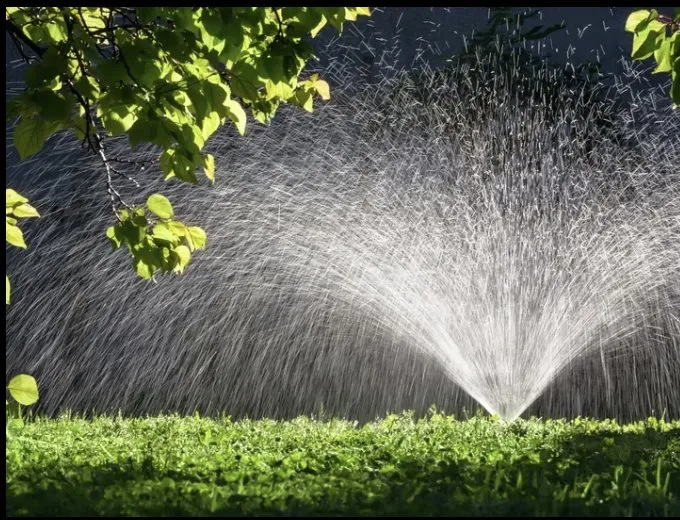 Custom yard cleanup service for beautiful yards across Coral Springs, FL - NXT Level Landscaping & Grounds Maintenance