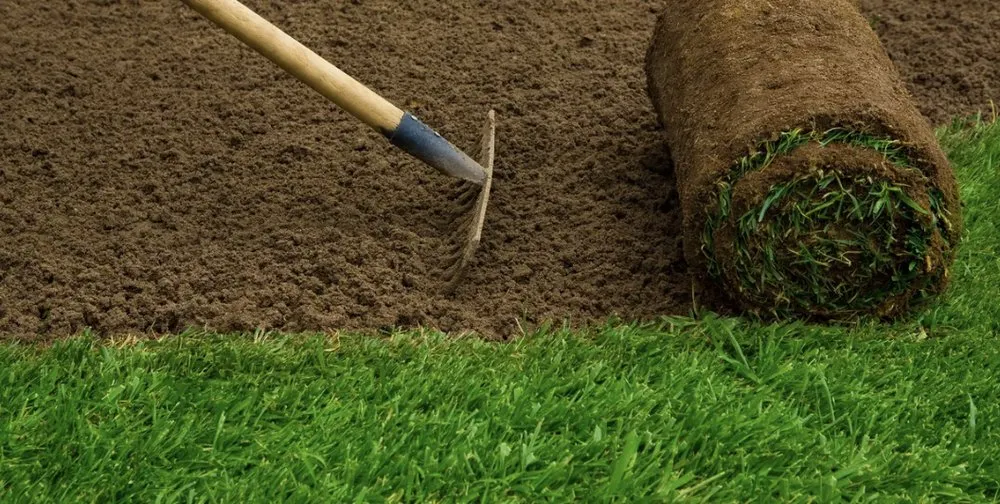 Top-rated lawn care service in Coral Springs, FL by NXT Level Landscaping & Grounds Maintenance