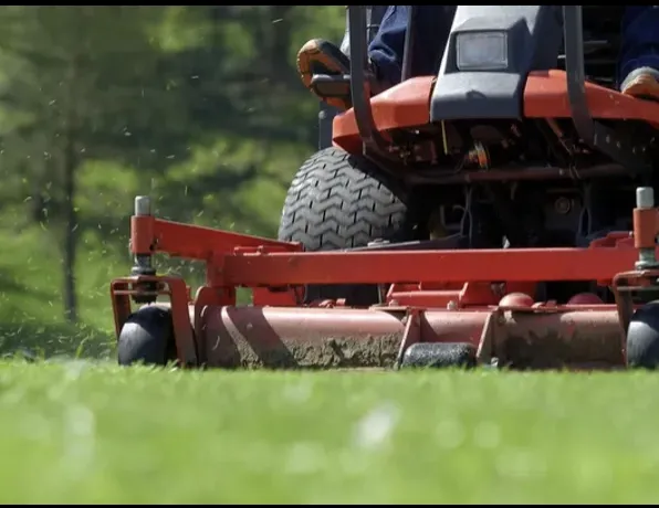 Local yard cleanup service for beautiful yards in Coral Springs, FL by NXT Level Landscaping & Grounds Maintenance