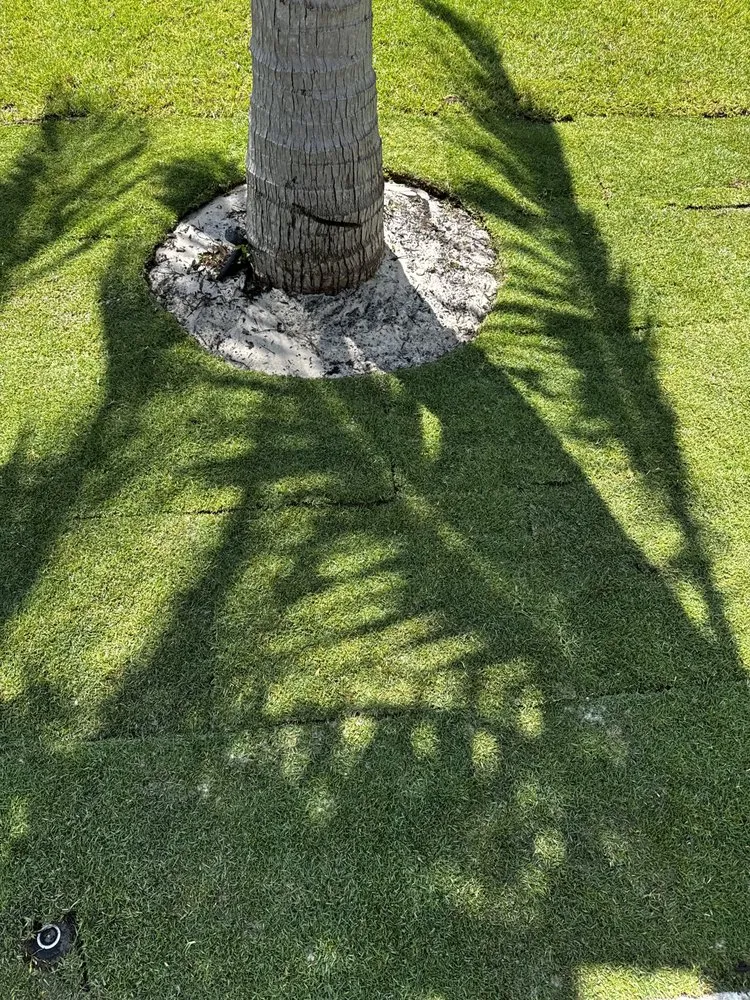 Expert lawn care service in Coral Springs, FL by NXT Level Landscaping & Grounds Maintenance