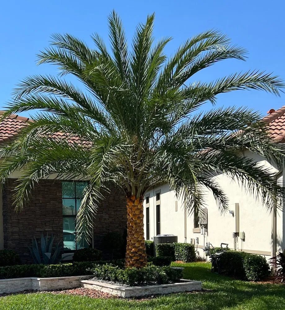 Reliable garden landscaping for homes in Coral Springs, FL by NXT Level Landscaping & Grounds Maintenance