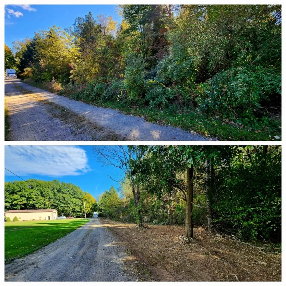 Local yard cleanup service experts serving Clio, MI - NXT Level Solutions