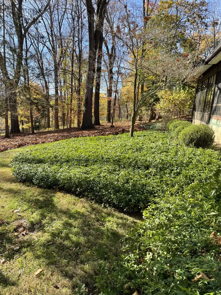 Affordable lawn care service for homes across Milford, NJ - Nxtl maintenance