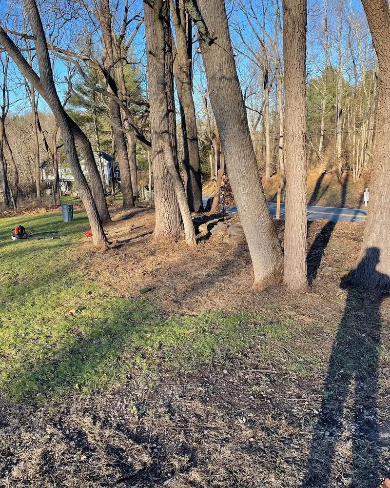 Professional garden landscaping in Milford, NJ by Nxtl maintenance