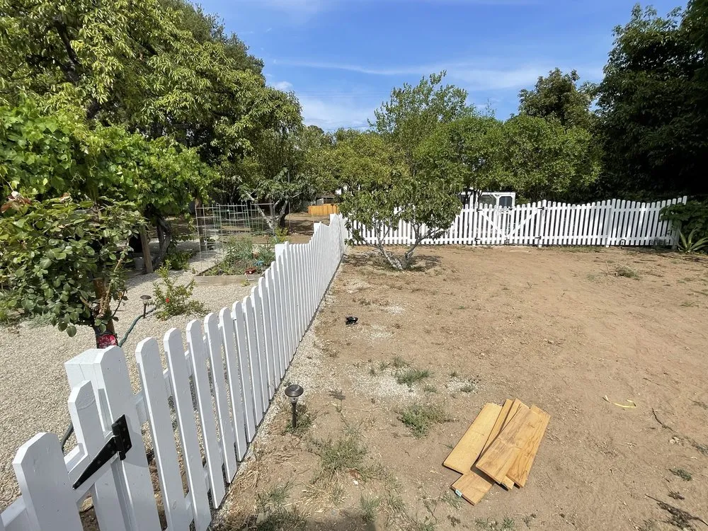 Reliable yard cleanup service in Monrovia, CA by Nxttre Landscape And Tree Care