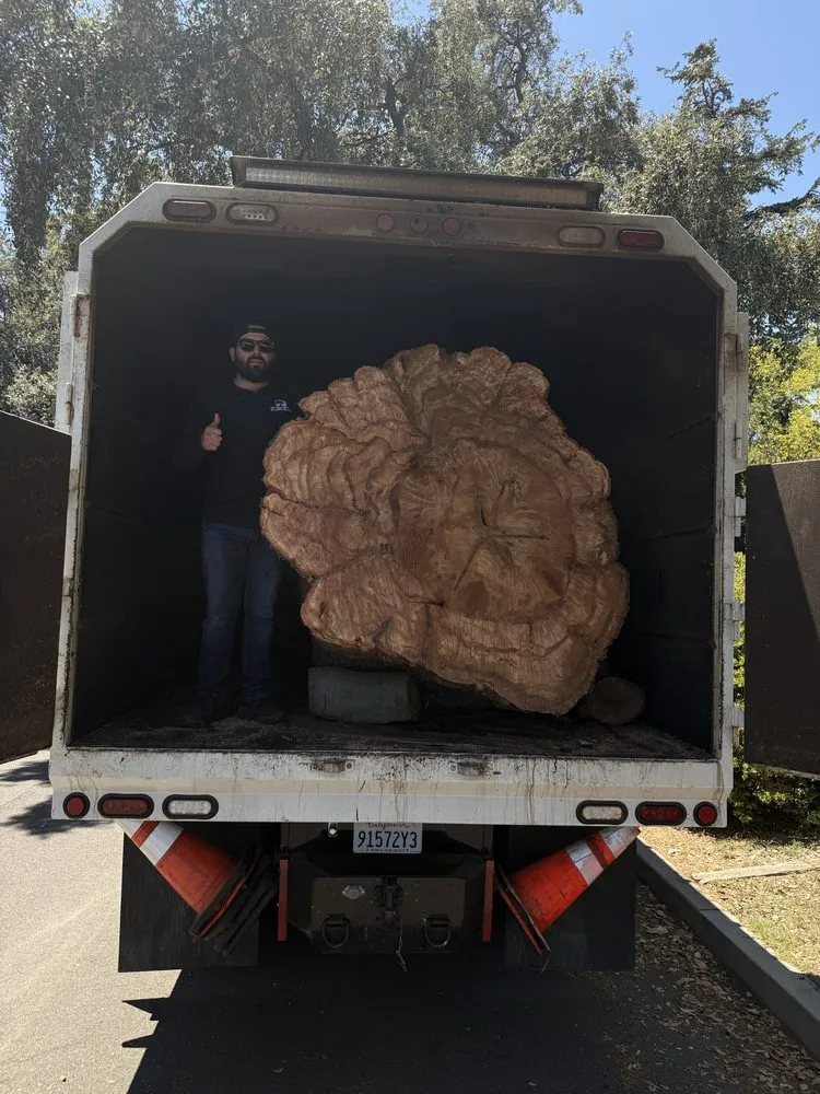 Reliable residential landscaping in Monrovia, CA by Nxttre Landscape And Tree Care