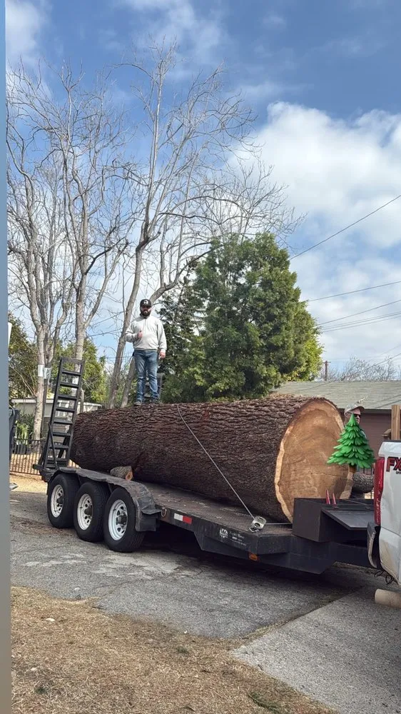 Expert outdoor landscaping experts serving Monrovia, CA - Nxttre Landscape And Tree Care