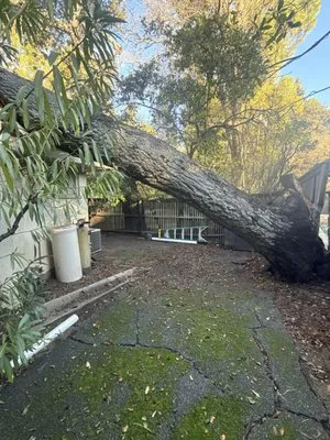 Nxttre Landscape And Tree Care