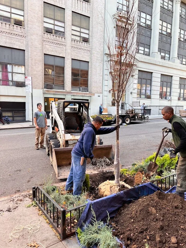 Top-rated landscape installation near you across New York, NY - NY Horticulture Group