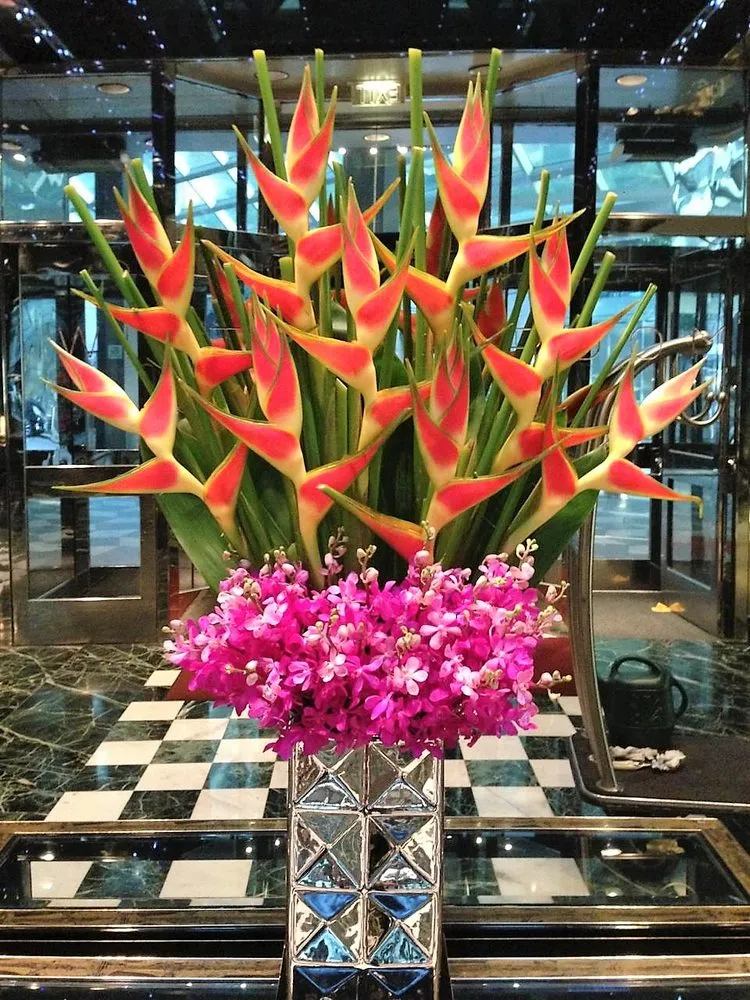 Local garden landscaping for year-round maintenance across New York, NY - NY Horticulture Group