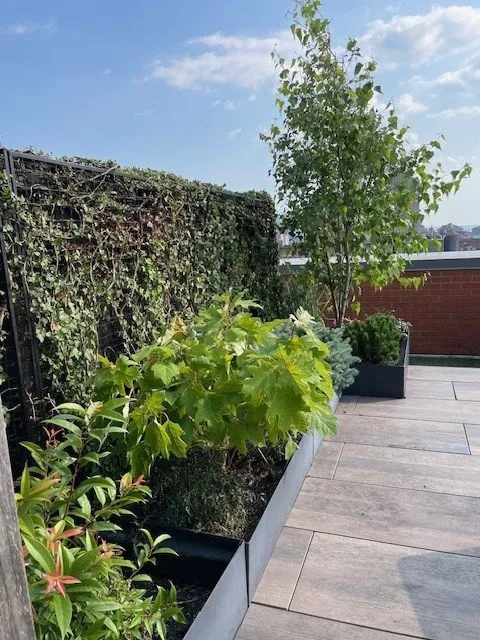 Trusted garden landscaping for beautiful yards in New York, NY by NY Horticulture Group