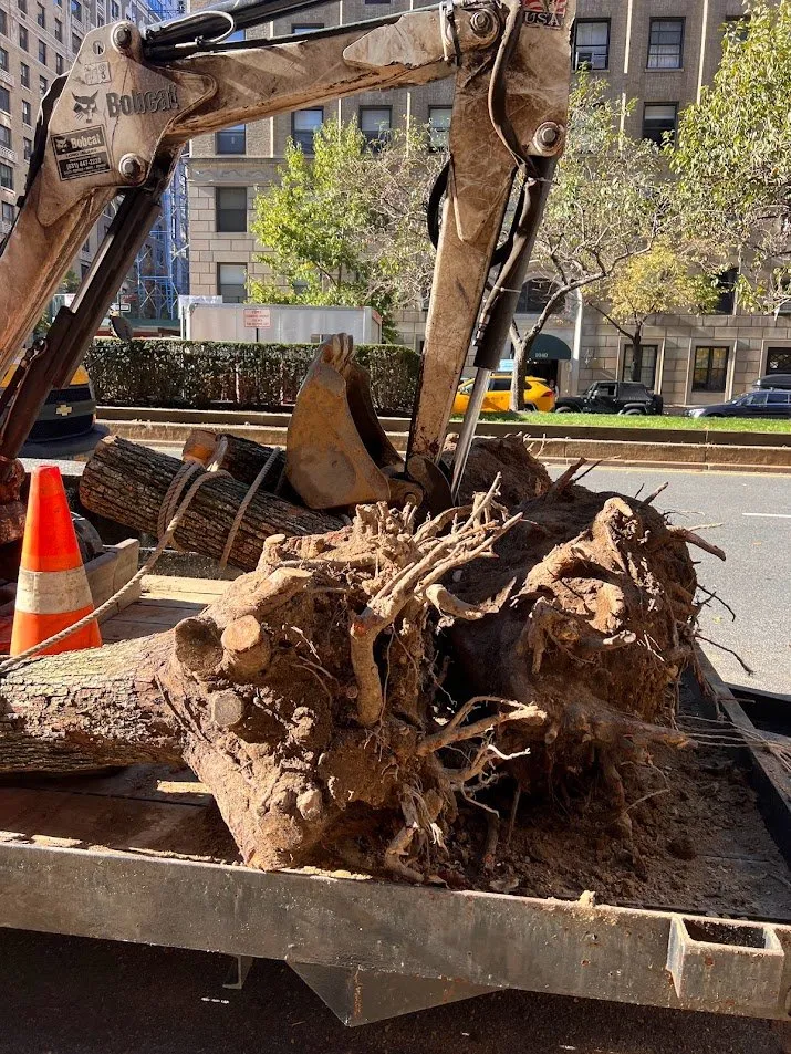 Reliable landscape design in New York, NY - NY Horticulture Group