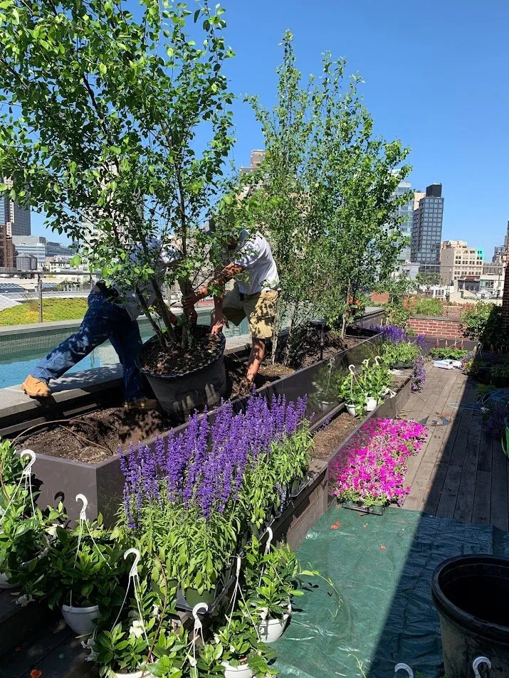 Local lawn mowing service in New York, NY - NY Horticulture Group