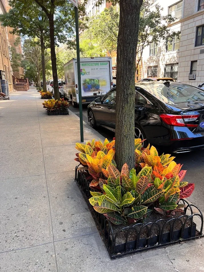 Reliable yard maintenance near you across New York, NY - NY Horticulture Group