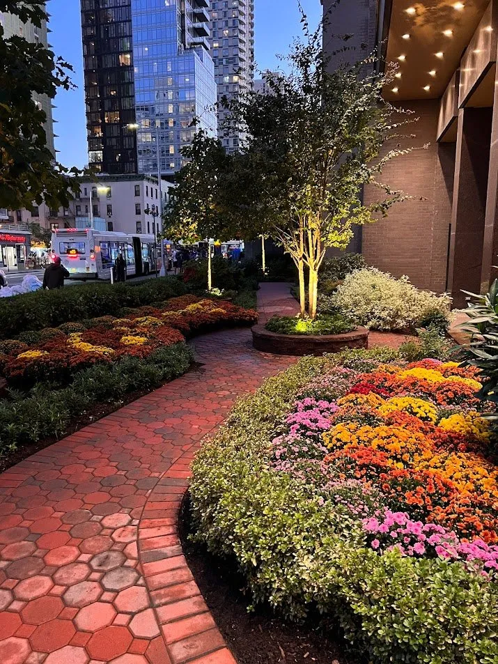 Affordable yard cleanup service with custom design across New York, NY - NY Horticulture Group