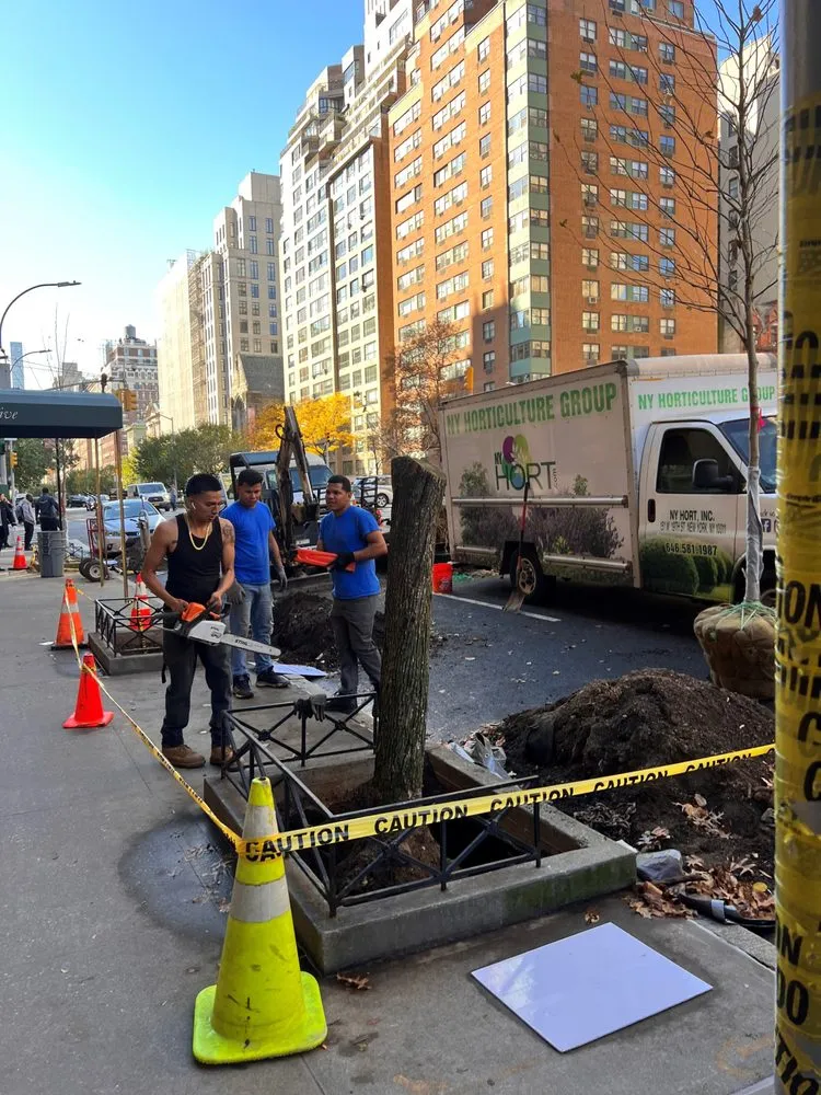 Reliable outdoor landscaping experts serving New York, NY - NY Horticulture Group