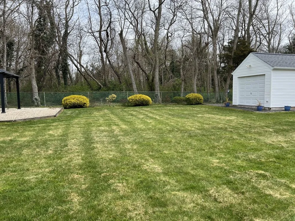 Top-rated yard maintenance experts serving Stony Brook, NY - NY Phoenix