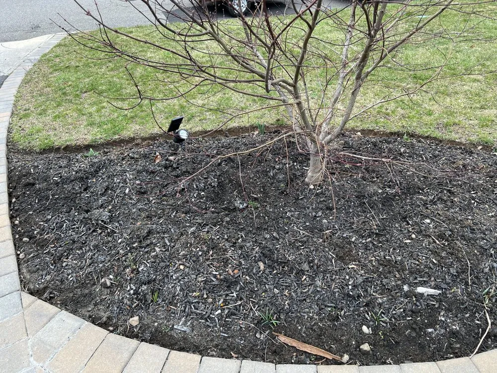 Professional lawn care service in Stony Brook, NY - NY Phoenix