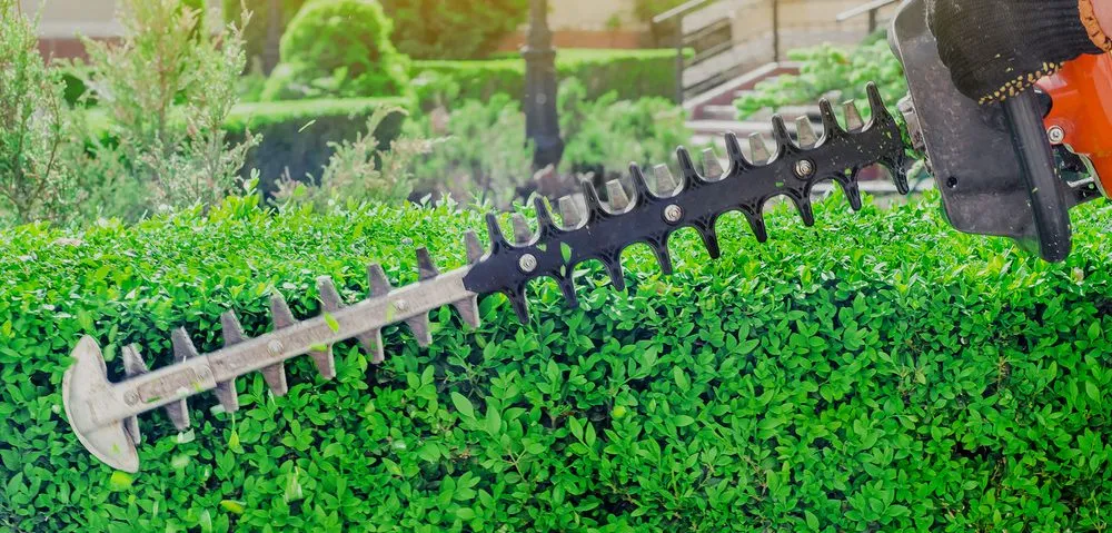 Reliable landscape installation in Westbury, NY by NY Precision Landscaping